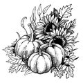 autumn composition of pumpkins and sunflower flowers for Thanksgiving, line art in sketch style, engraving